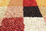 Beans can diminish heart disease.